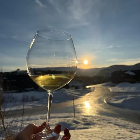 Διαμέρισμα In The Mountains, A Paradise Year Round Hovden (Aust-Agder)