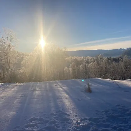 In The Mountains, A Paradise Year Round *