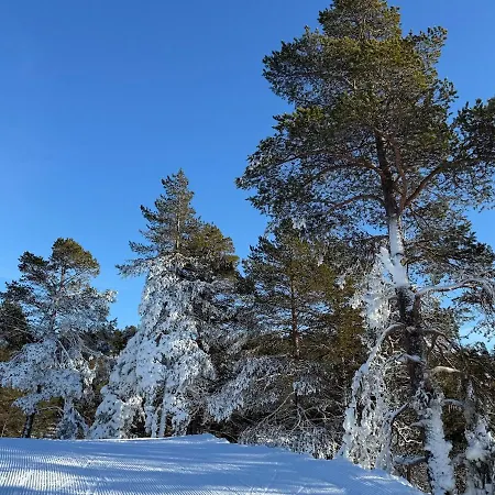 In The Mountains, A Paradise Year Round Διαμέρισμα